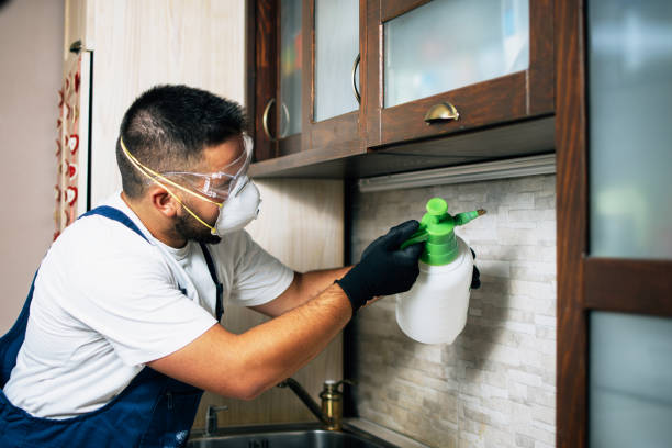 Best Mosquito Control Services  in Orient, NY