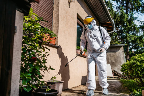 Best Commercial Pest Control Services  in Orient, NY