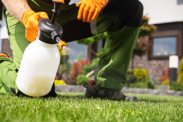 Wildlife Control Services in Orient, NY
