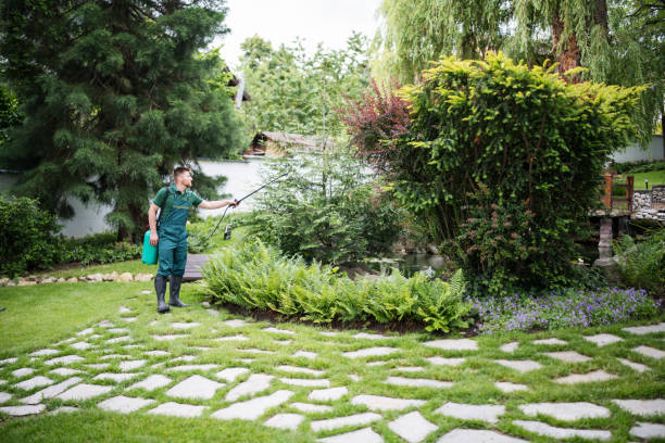 Best Affordable Pest Control Services  in Orient, NY