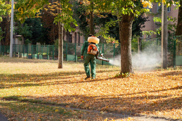 Best Emergency Pest Control  in Orient, NY