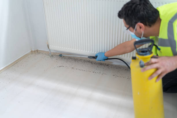 Reliable Orient, NY Pest Control Solutions