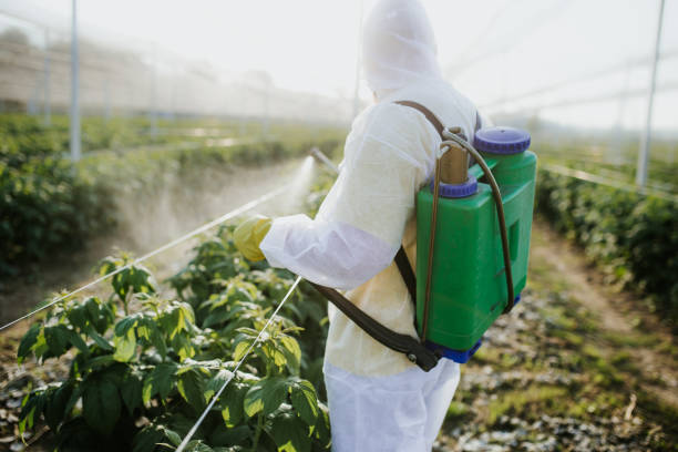 Best Exterminator Services  in Orient, NY